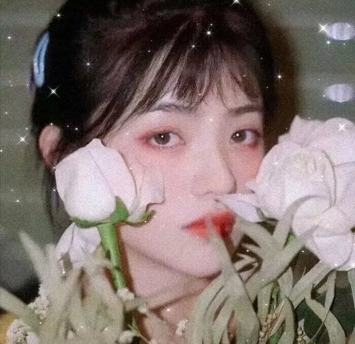 猫眼女枪手